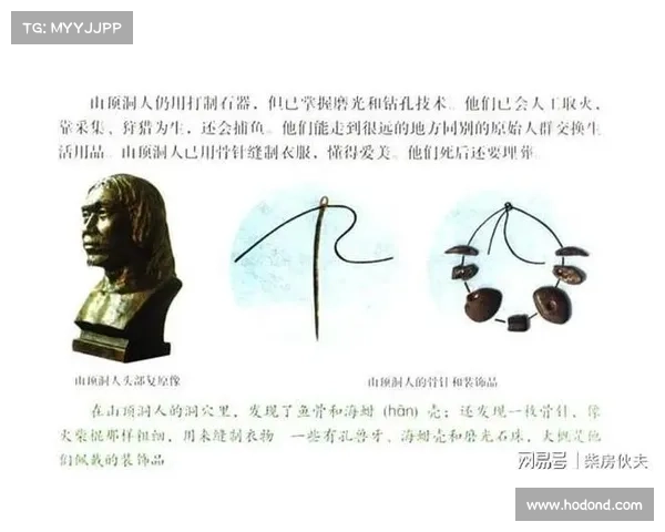 提升部落与联盟协作效率的关键步骤与策略探索 提升部落与联盟协作效率的关键步骤与策略探索