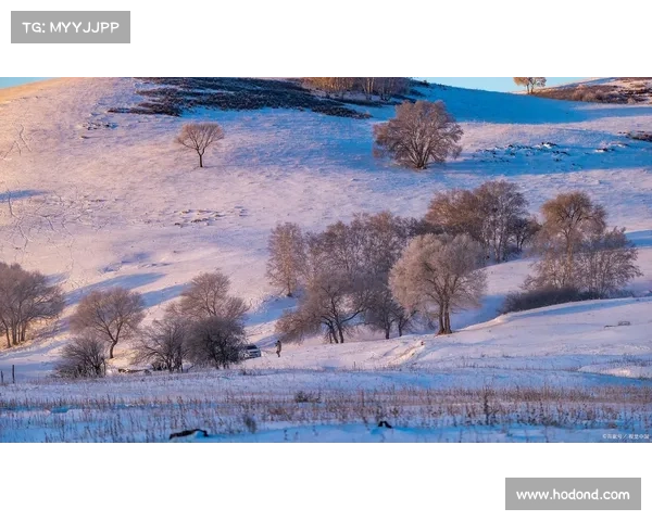 冬季湖畔的诗意之旅十大必访地点 追寻雪景与静谧的完美邂逅 冬季湖畔的诗意之旅十大必访地点 追寻雪景与静谧的完美邂逅