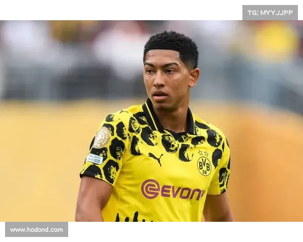 德甲赛季中挑战拜仁霸主地位的五大关键因素分析 德甲赛季中挑战拜仁霸主地位的五大关键因素分析