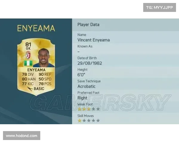 21法甲冠军的背后故事与真实情况解析球队崛起的关键因素与挑战 21法甲冠军的背后故事与真实情况解析球队崛起的关键因素与挑战