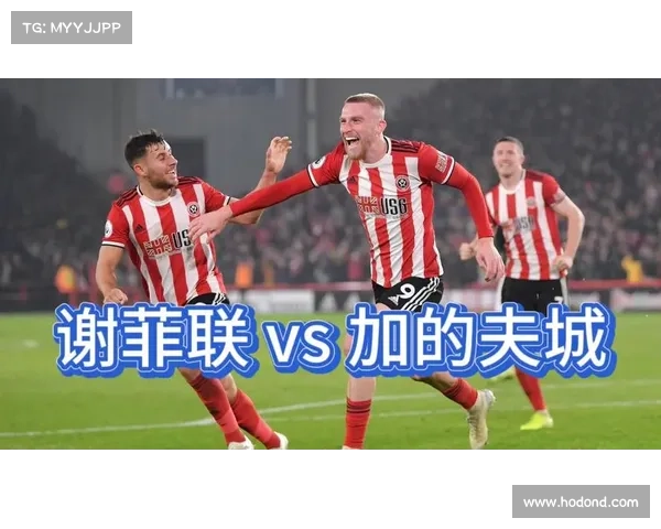 如何获取加的夫城足球队最新联赛成绩和比赛信息